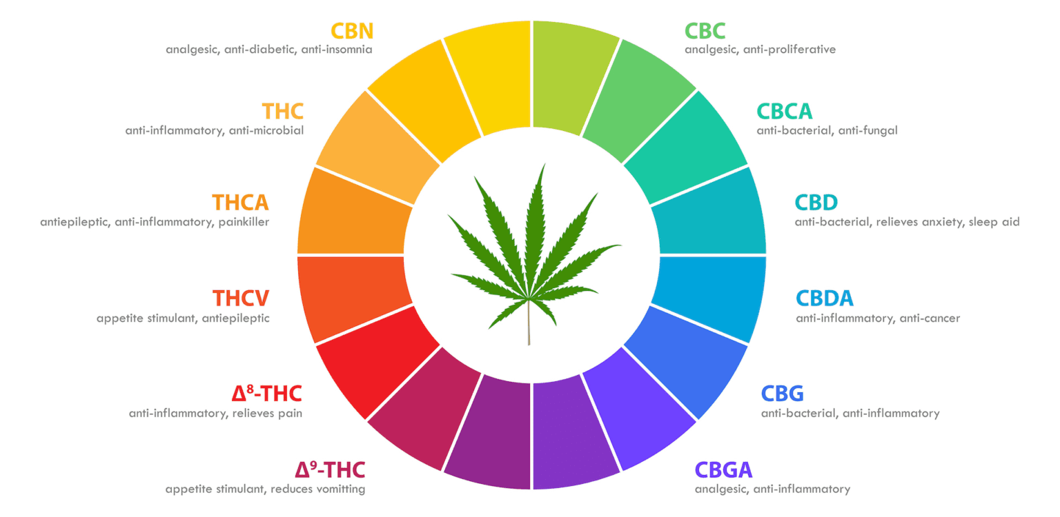 what are cannabinoids?