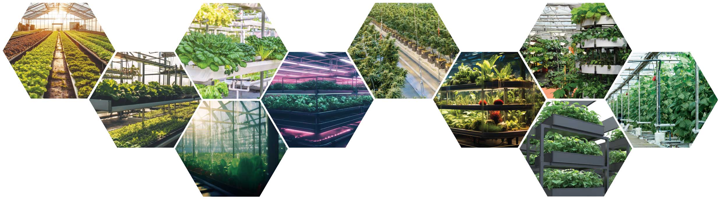 HarvestIQ Vertical Farming Greenlight Analytical