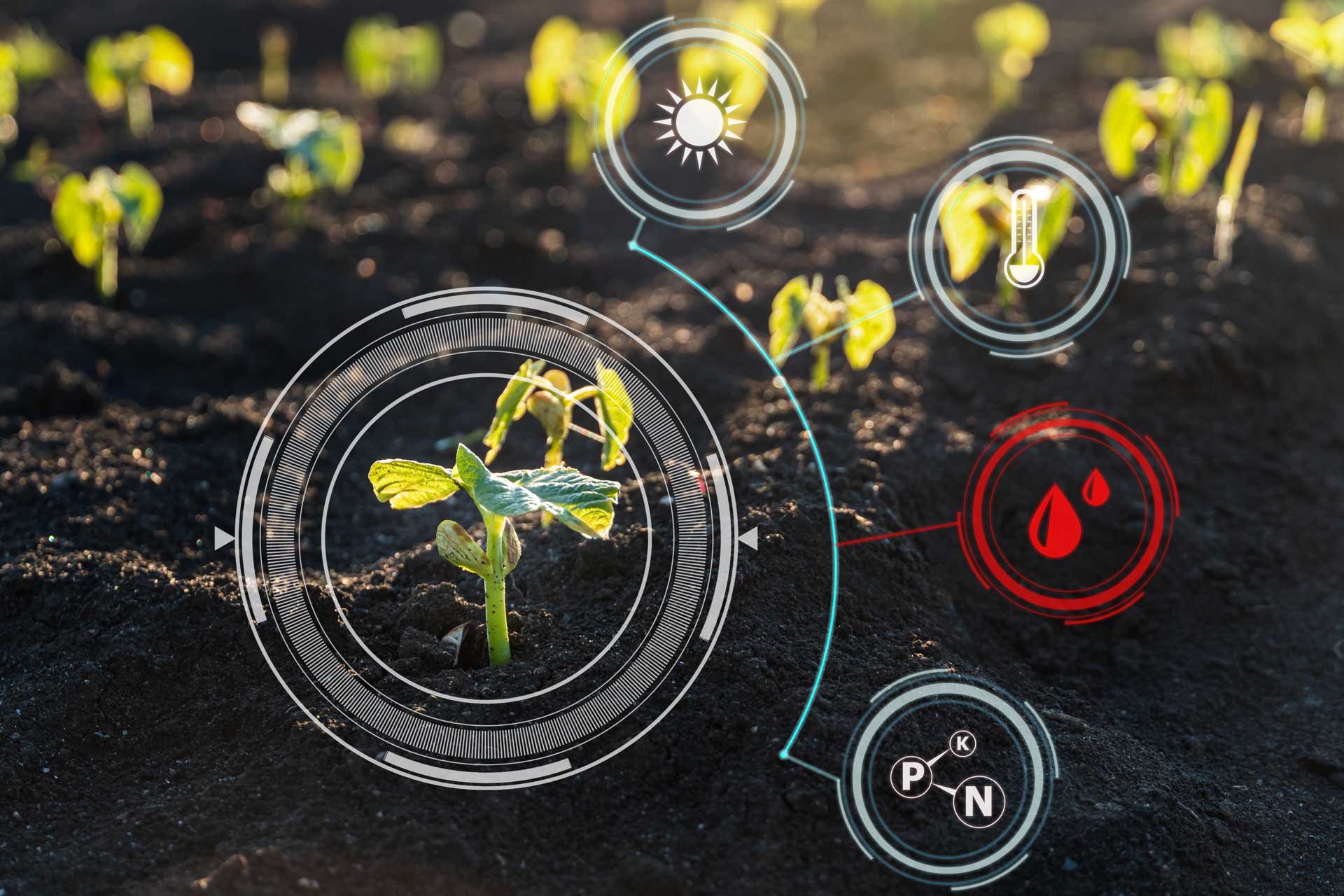 Greenlight Analytical - Precision farming