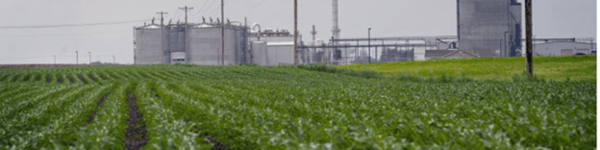 Ethanol plant behind corn field-Sustainable Bio-fuel